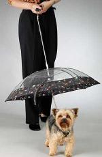 The perfect winter doggy gift