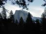 Half Dome through the trees