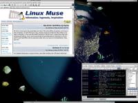 Fluxbox window manager with an over-active background