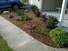Front bed #2, with new mulch.