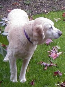 Sally Ann, the day we brought her home.