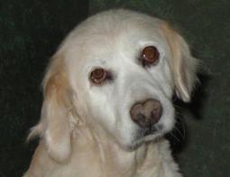 Quizzical Sally, last month.