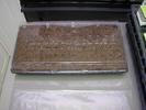 The first seed tray