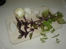 Purple Basil, Oregano, onion and garlic.