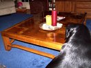 Refinished coffee table, low angle