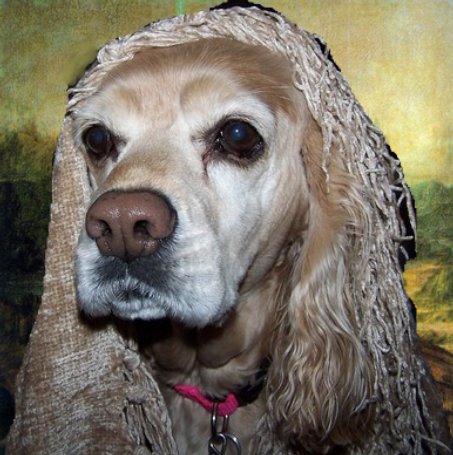 DaVinci Mona Lucy by Dave, using the GIMP.