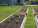Peppers foreground, broccoli and cucumber background