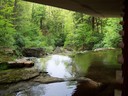 Fallingwater: downstream from the platform below the living room