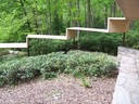 Fallingwater: looking back at the covered walk up the hill to the guest house