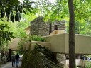 Fallingwater: View coming back down the drive from the guest house