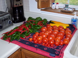 Tomatoes, peppers and squash