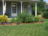 Front garden