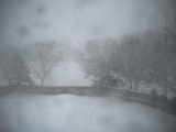 2010 Blizzard 2