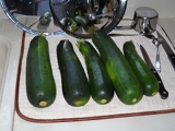 Zucchini